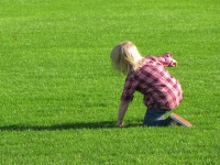 /album/fotogalerij/img-4346-jpg/